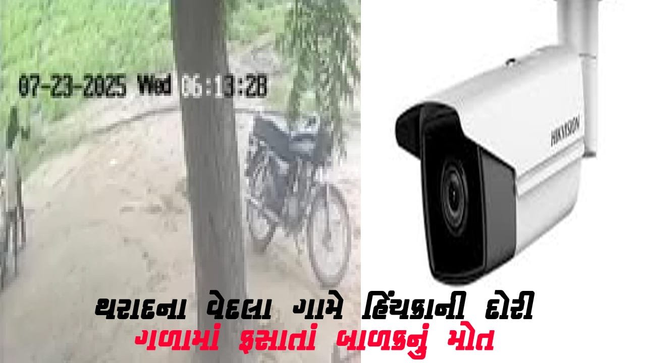 થરાદના વેદલા ગામમાં હિંચકાની દોરી ગળામાં ફસાતા બાળકનું કરુણ અવસાન | CCTV ફૂટેજ થયો વાયરલ