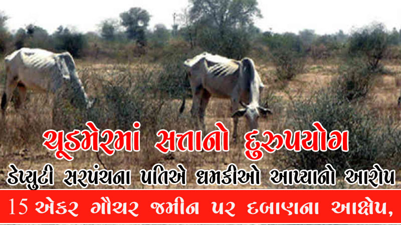 ચૂડમેર ગૌચર જમીન દબાણ કેસમાં ડેપ્યુટી સરપંચ સામે કાર્યવાહી માંગ