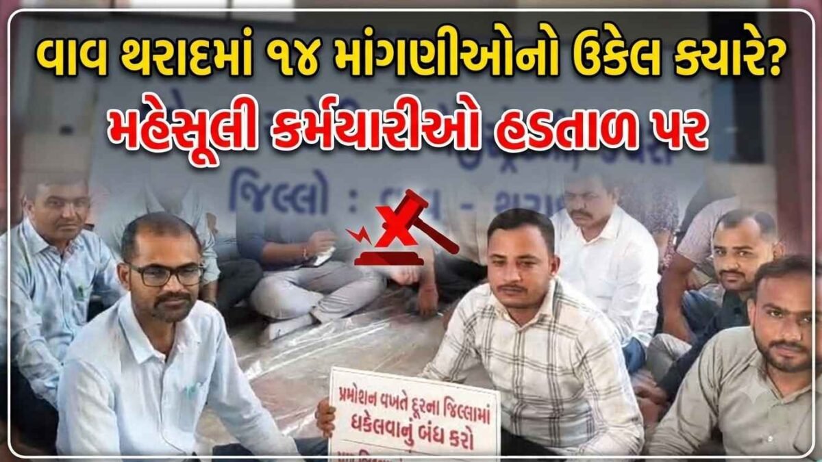 વાવ-થરાદમાં મહેસૂલી કર્મચારીઓ અચોક્કસ મુદતની હડતાળ પર, 14 માંગણીઓ માટે ધરણાં